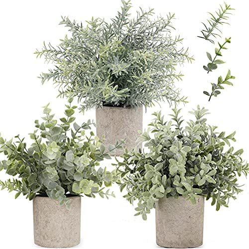 Green Indoor Table Decoration C APPOK Artificial Potted Plants Small Fake Eucalyptus Plant 3 Pack Mini Plastic Green Grass with Pot Faux Rosemary Plants for Home Decor 